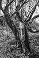 Against the Elements 12